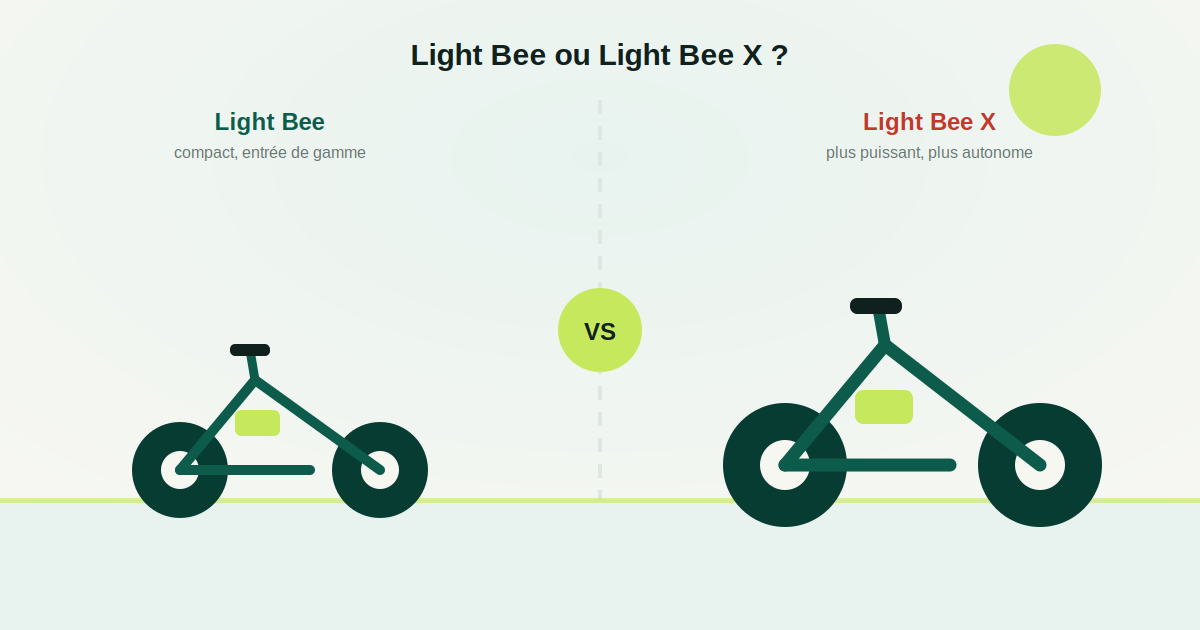 Surron Light Bee vs Light Bee X : quelles différences ? (comparatif)