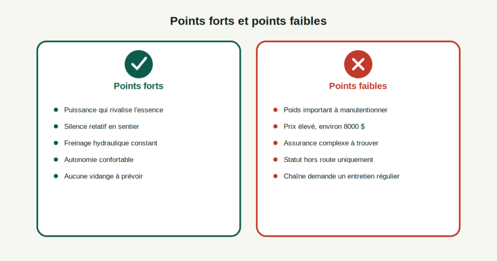 Résumé des points forts et points faibles de la Surron Ultra Bee