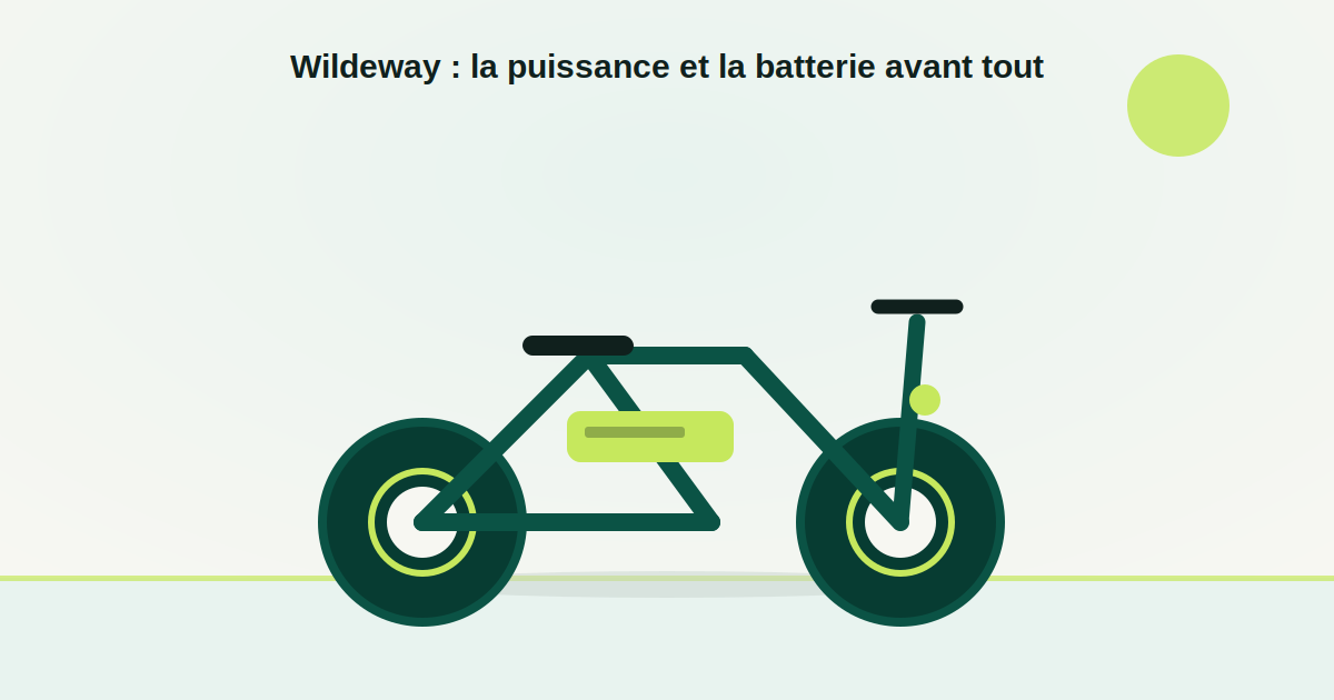 Wildeway ebike : avis sur la marque de vélo électrique