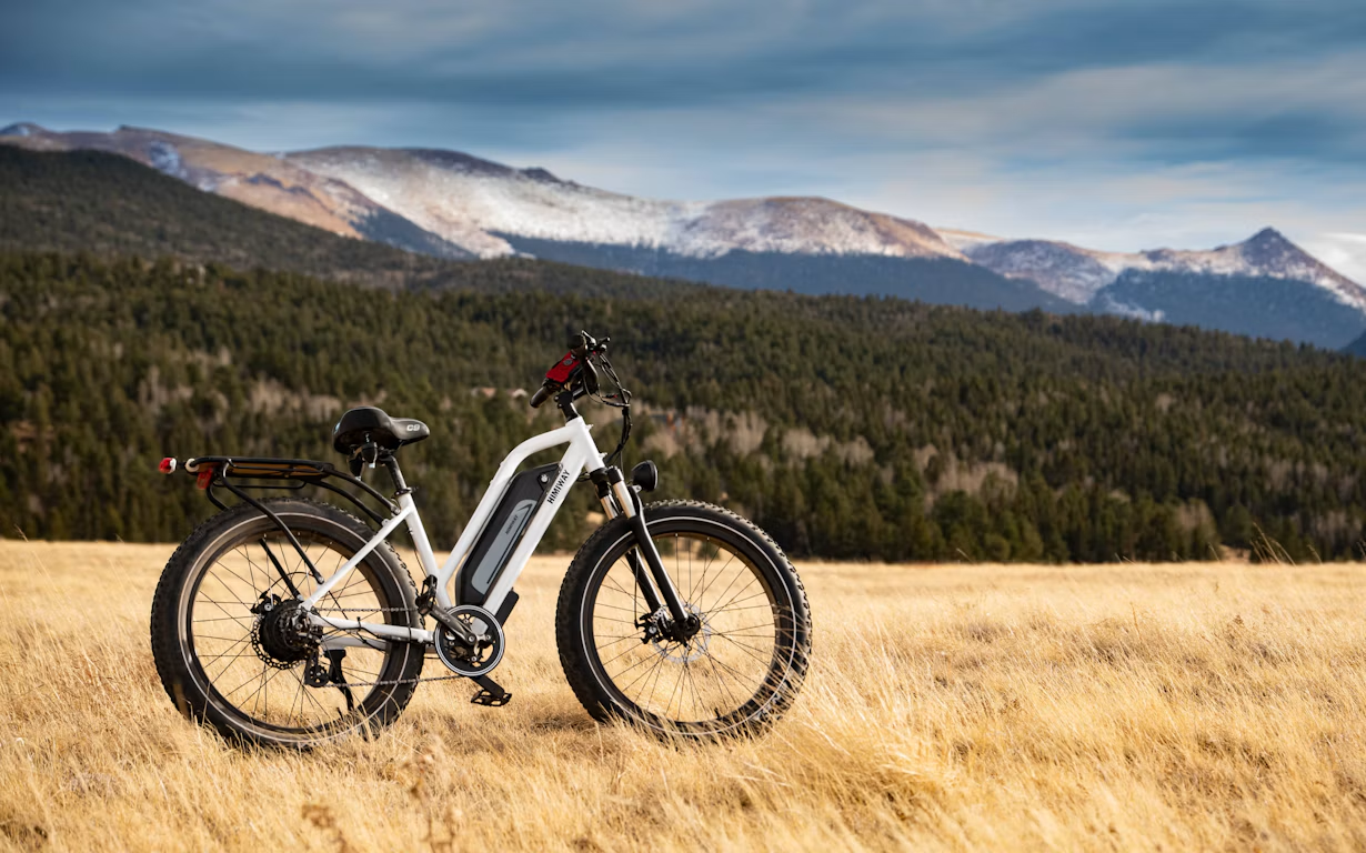 Isinwheel electric bike : avis sur la marque de vélo électrique